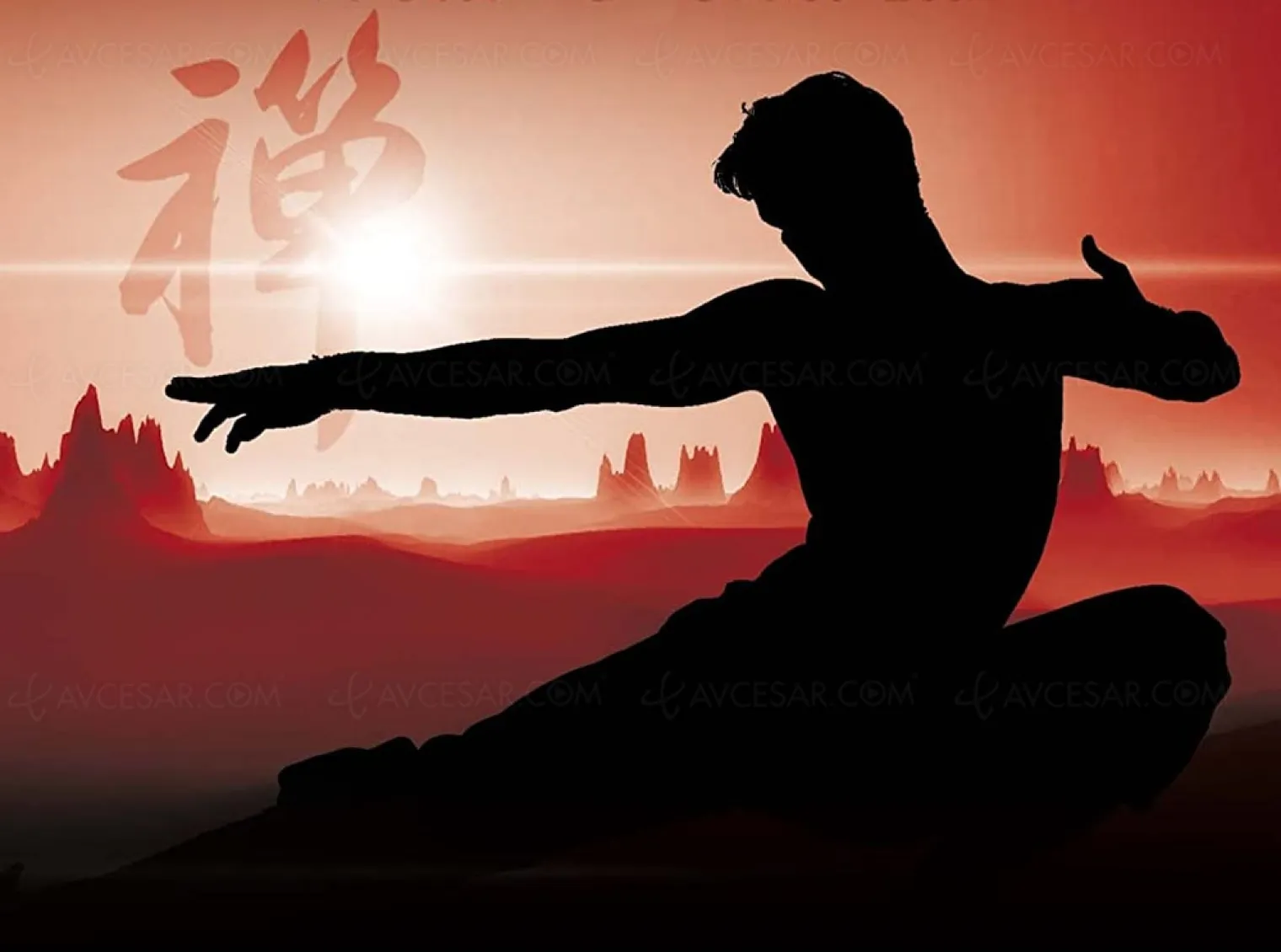 la-flute-silencieuse-de-bruce-lee-va-devenir-une-serie