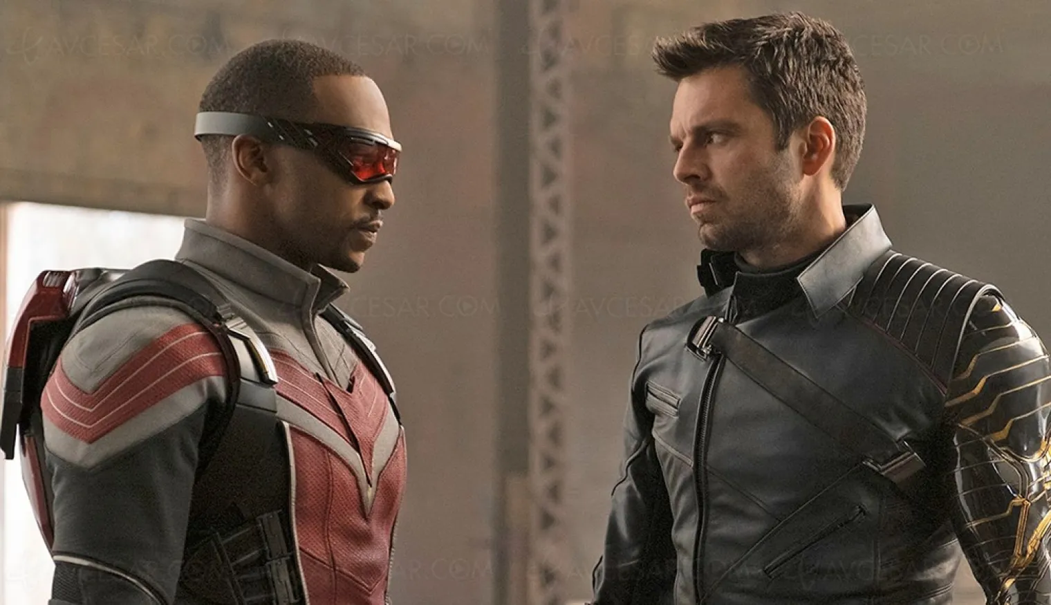 record-d-audience-pour-falcon-et-le-soldat-de-l-hiver-sur-disney