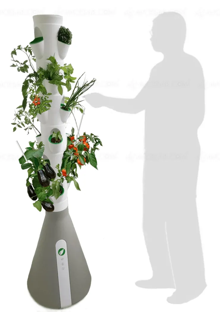 green-bio-connecte-le-home-potager-se-developpe
