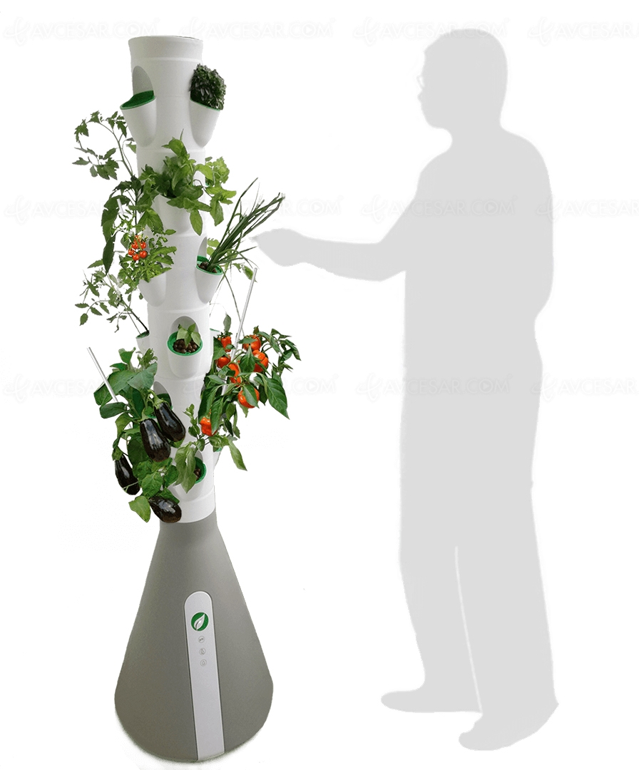 Green, bio, connecté, le Home Potager se&nbsp;développe