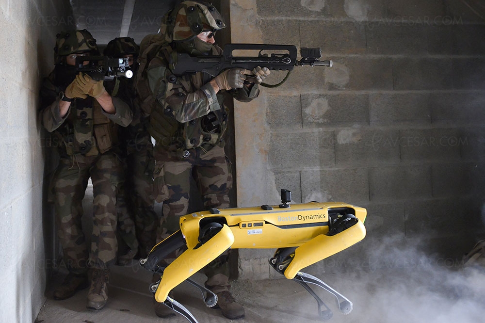Un chien robot dans l’armée française&nbsp;: première&nbsp;rencontre