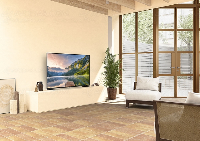 TV LED Ultra HD 4K Panasonic JX800, 40'', 50'', 58'' et 65 au menu