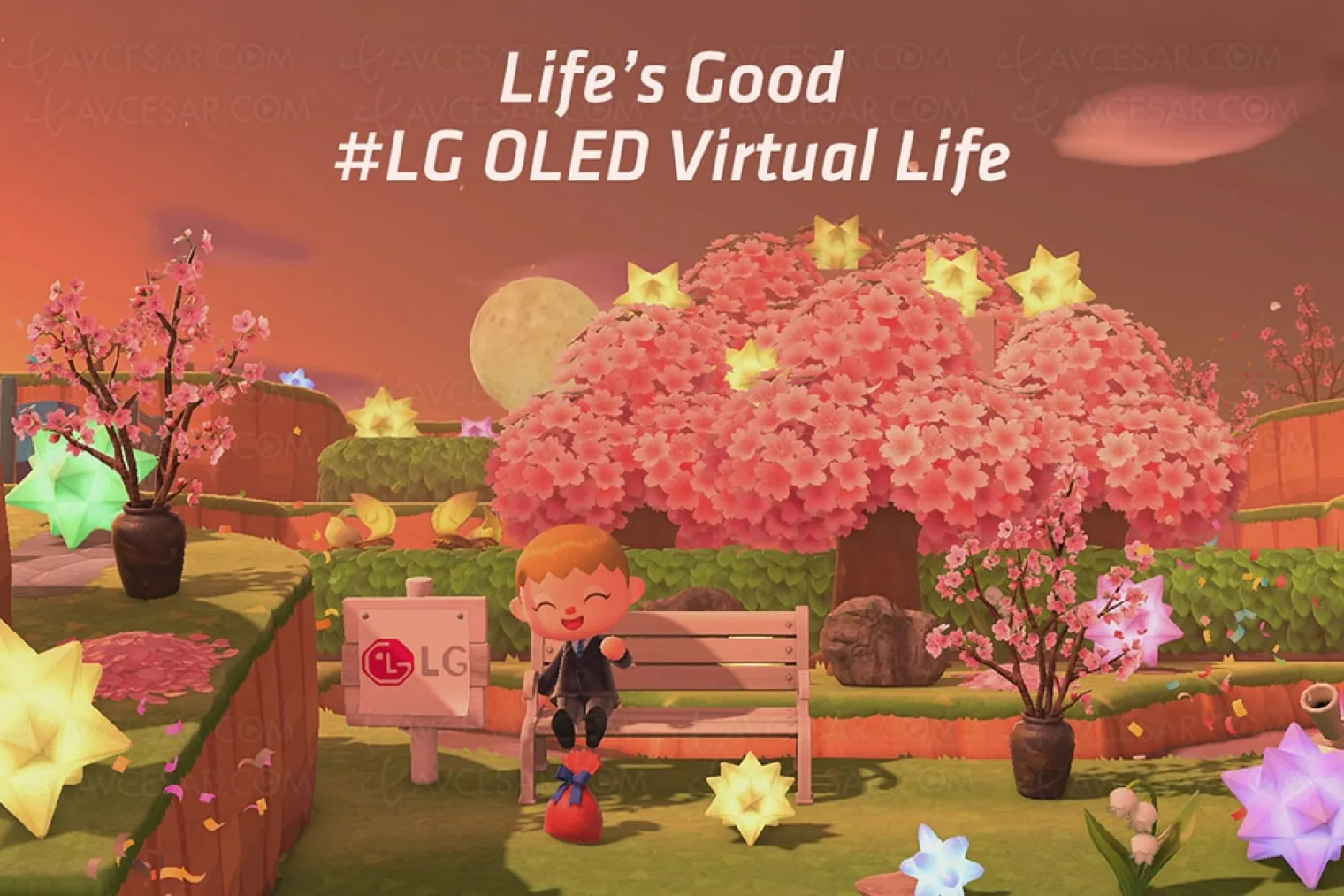 visitez-les-iles-lg-oled-sur-console-switch-dans-animal-crossing-new-horizons