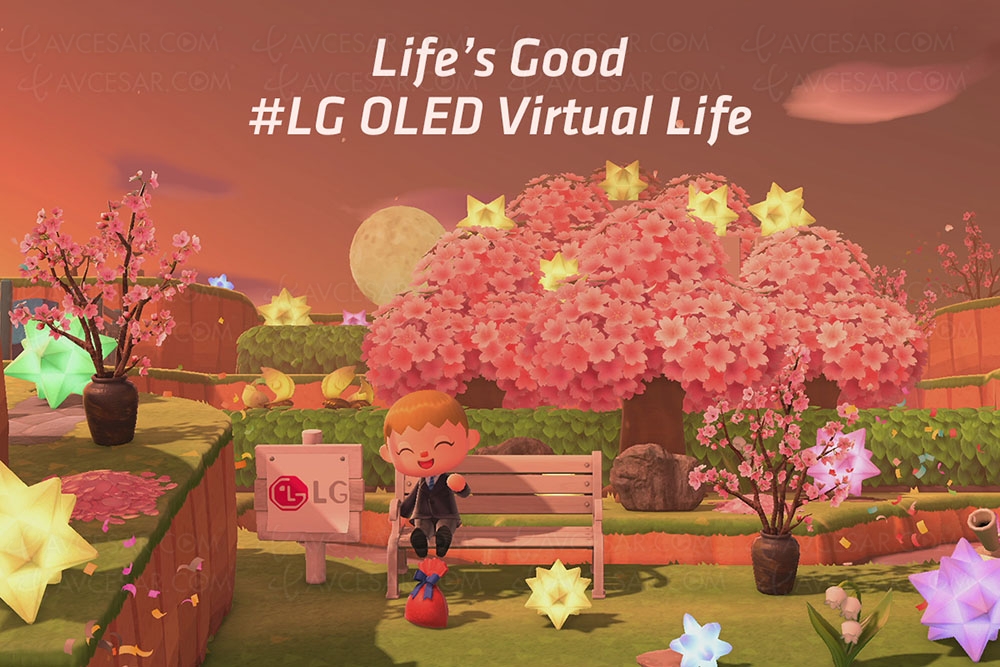 Visitez les îles LG Oled sur console Switch dans Animal Crossing&nbsp;: New&nbsp;Horizons