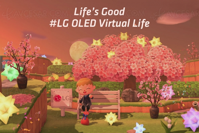 Visitez les îles LG Oled sur console Switch dans Animal Crossing : New Horizons