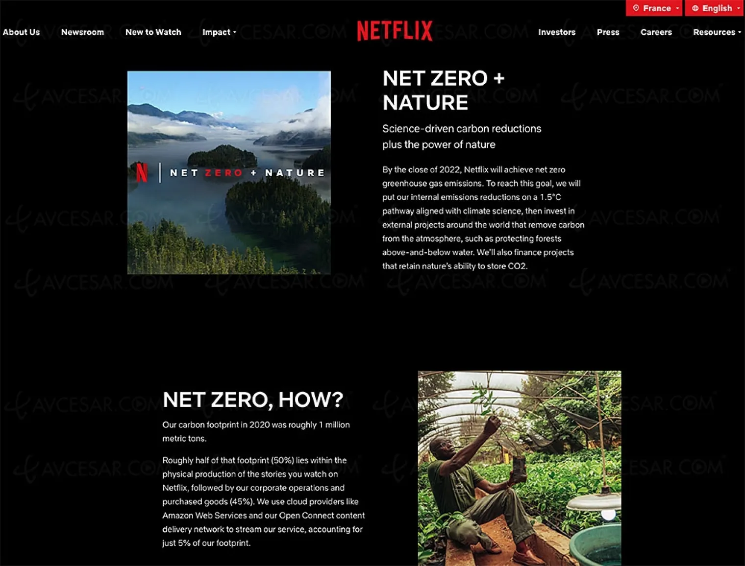 netflix-tout-savoir-sur-son-empreinte-carbone