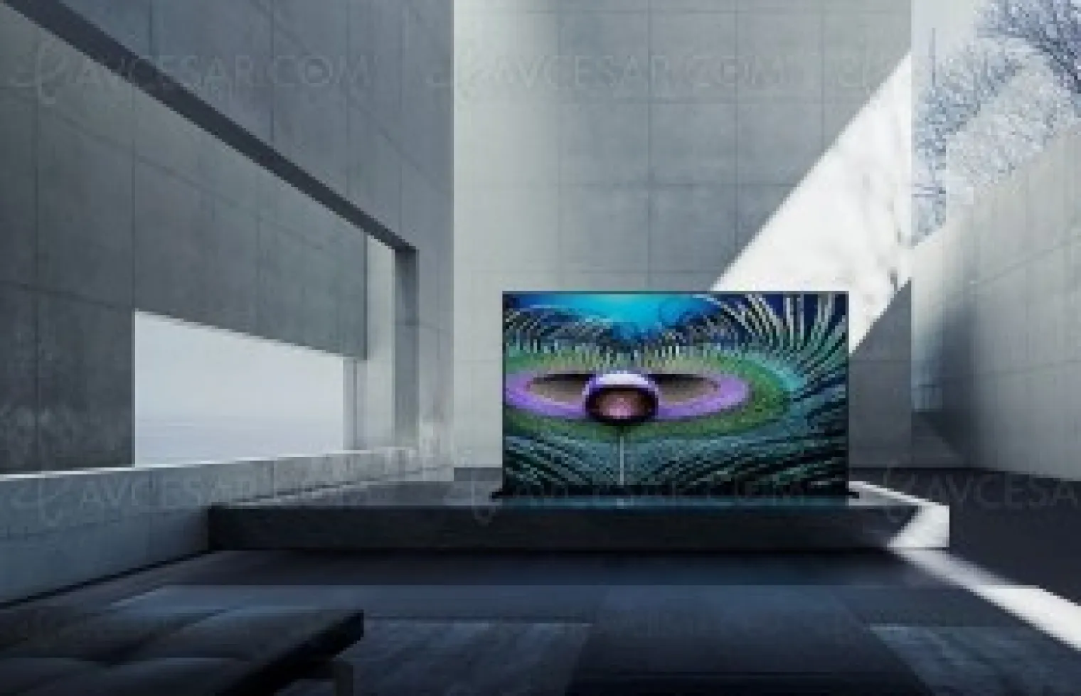 tv-led-ultra-hd-8k-sony-z9j-master-series-mise-a-jour-prix-indicatifs