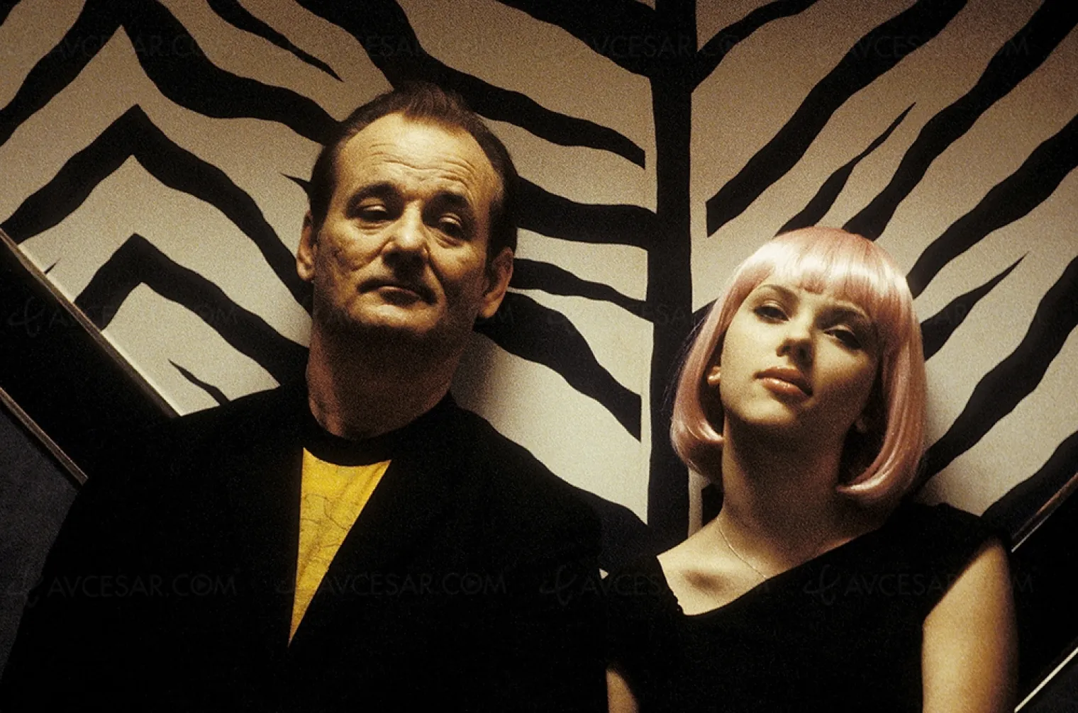 programme-mubi-sofia-coppola-en-mai-shiva-baby-en-juin