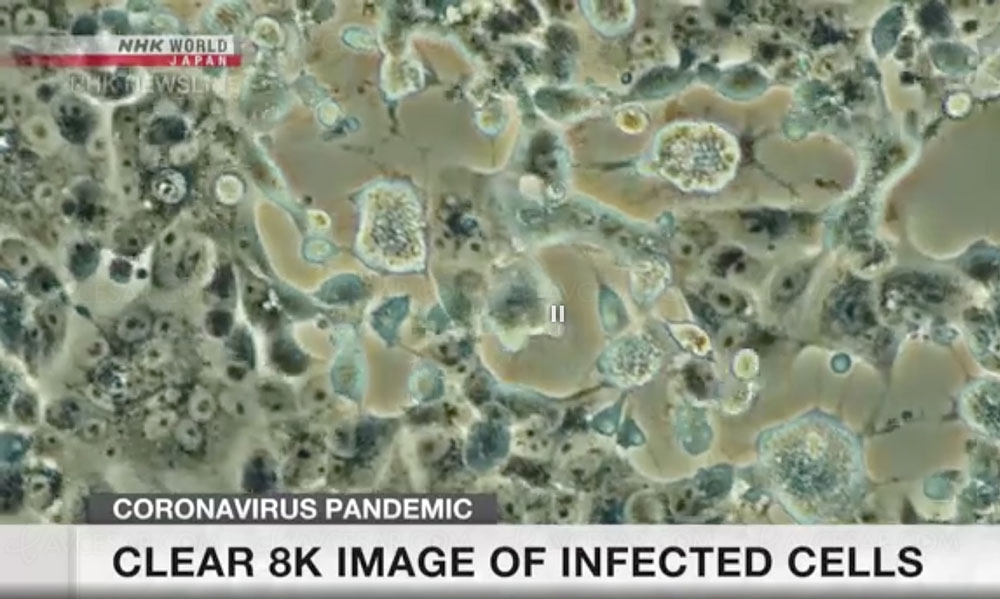 Le 8K, nouvelle arme contre le&nbsp;coronavirus
