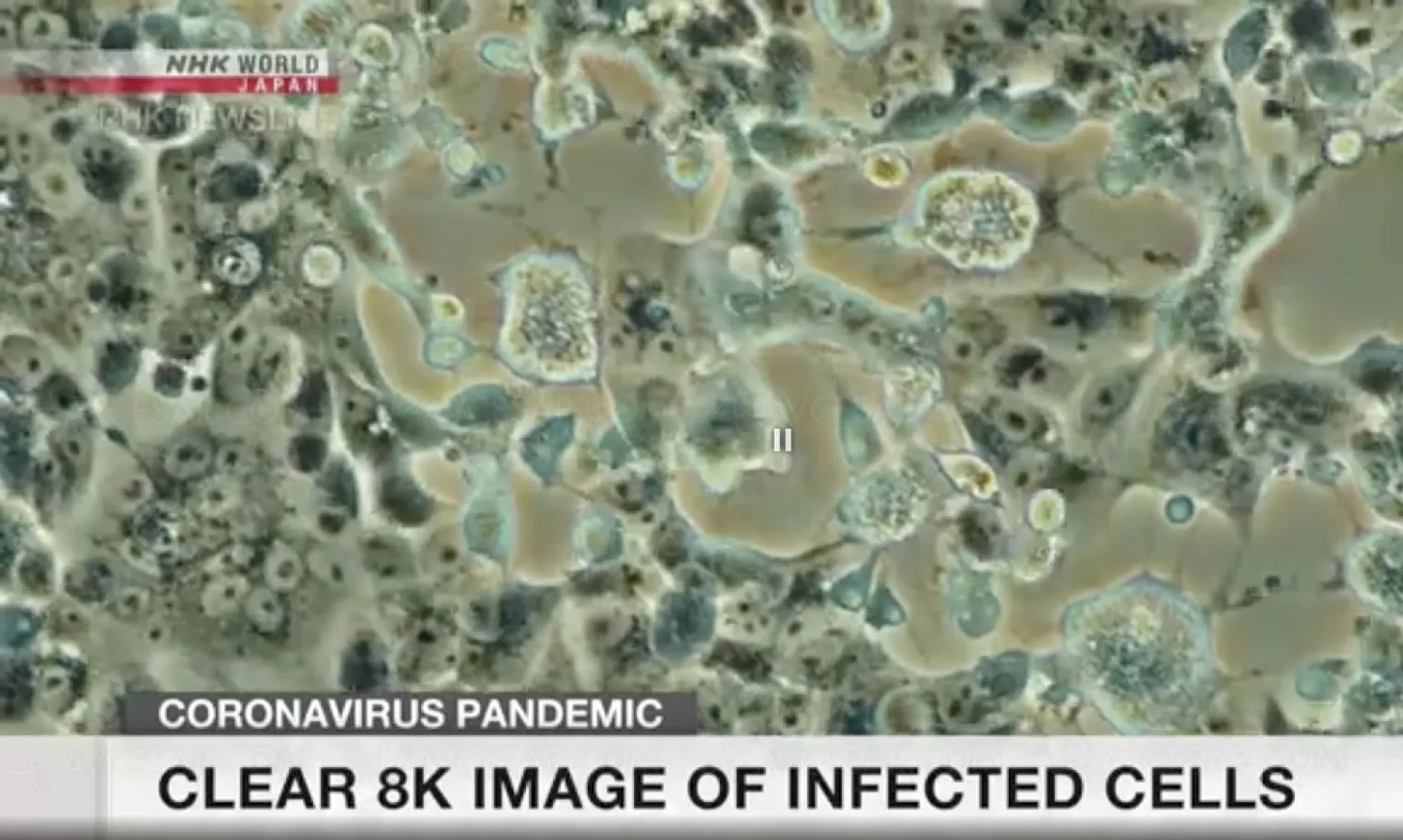 le-8k-nouvelle-arme-contre-le-coronavirus