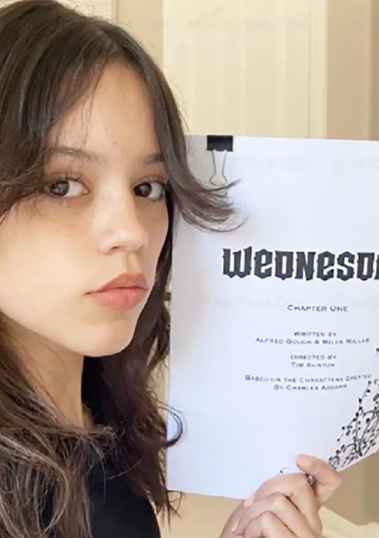 la-serie-de-tim-burton-pour-netflix-wednesday-se-precise