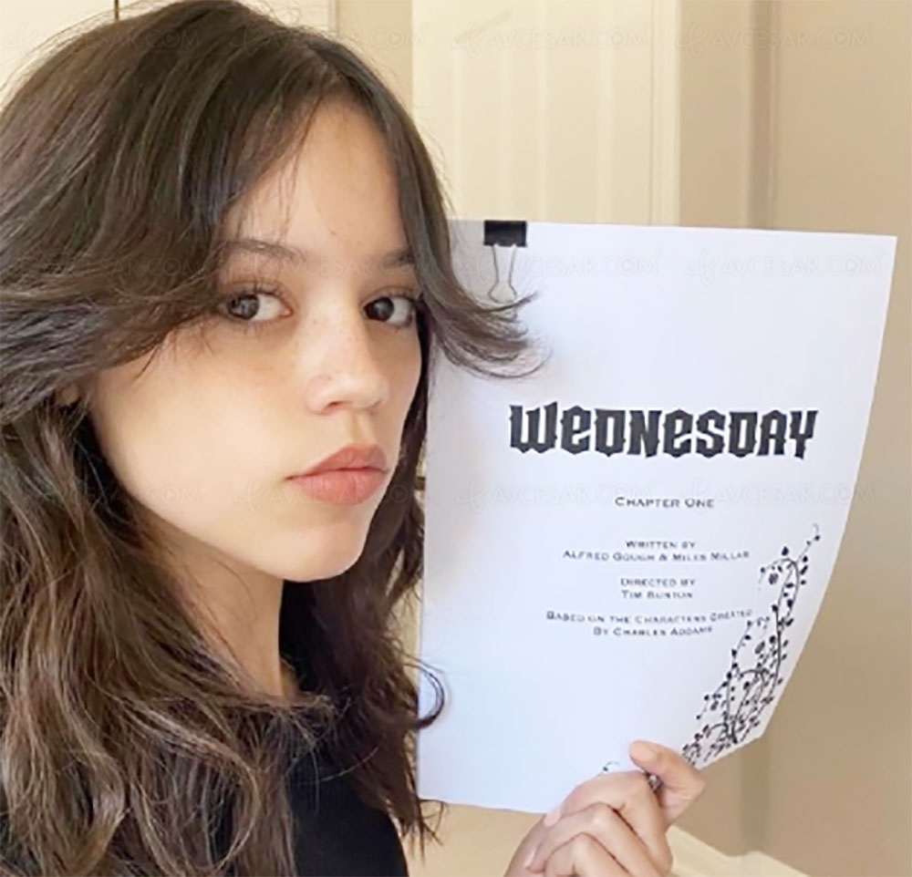La série de Tim Burton pour Netflix, Wednesday, se&nbsp;précise