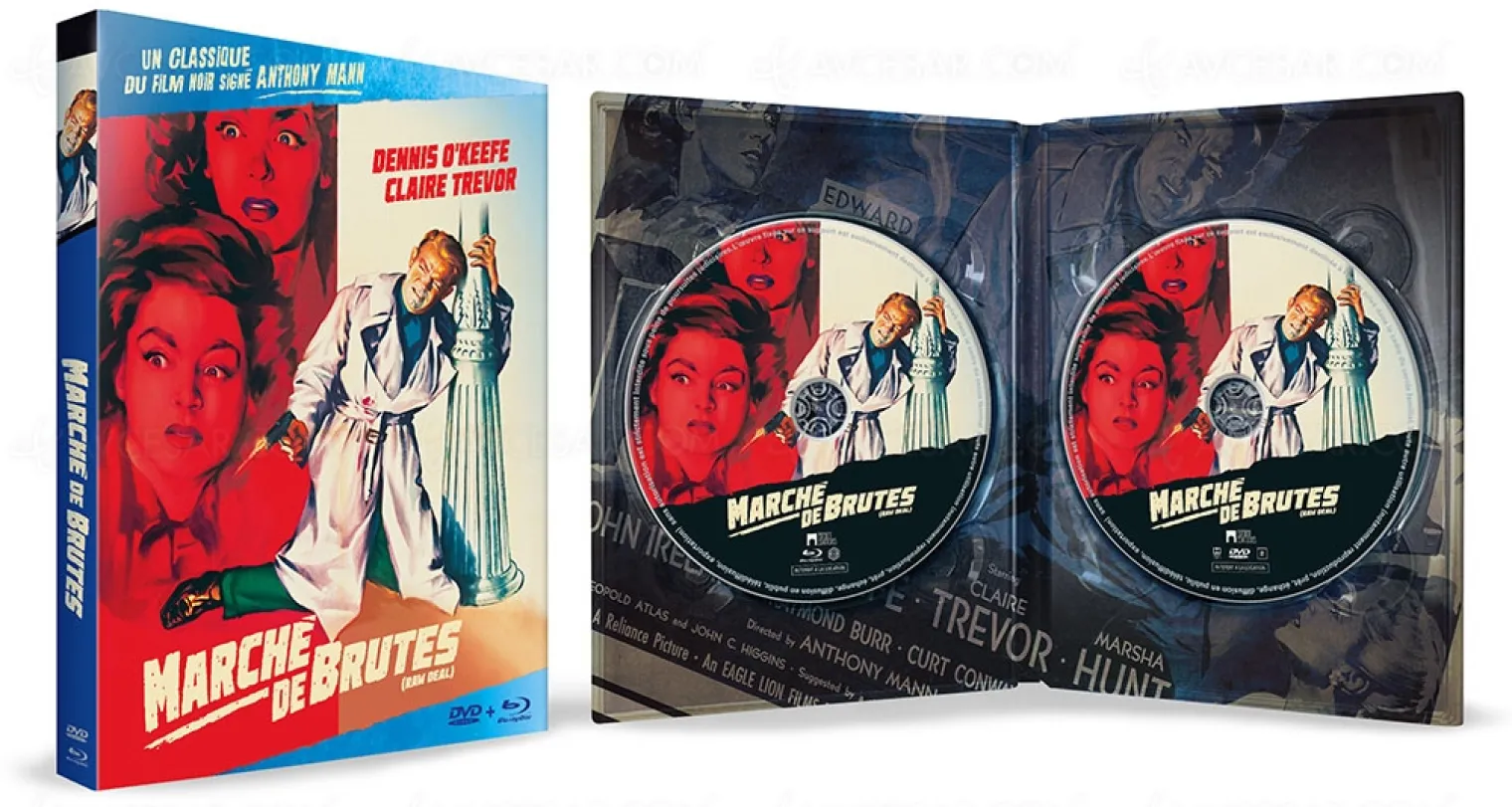 marche-de-brutes-d-anthony-mann-un-sommet-du-film-noir-enfin-disponible
