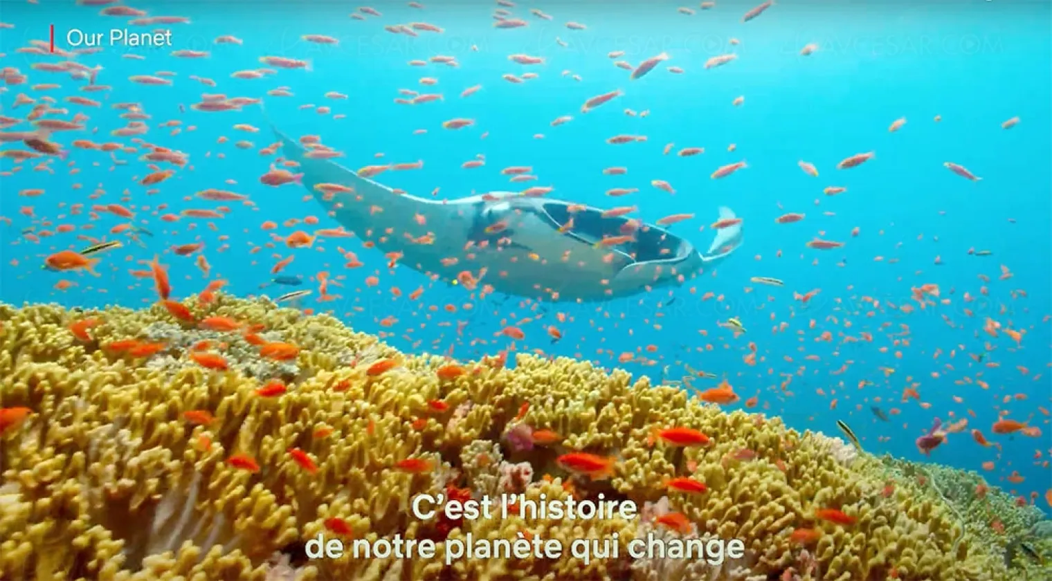netflix-s-engage-pour-le-zero-rejet-de-gaz-a-effet-de-serre