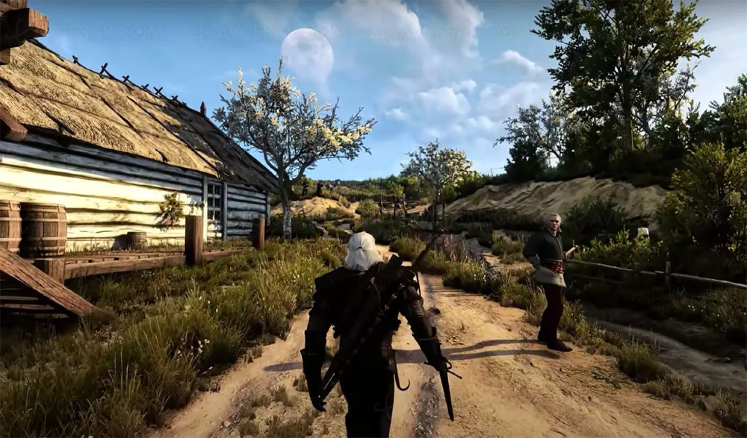 the-witcher-3-en-8k-ensorcelant