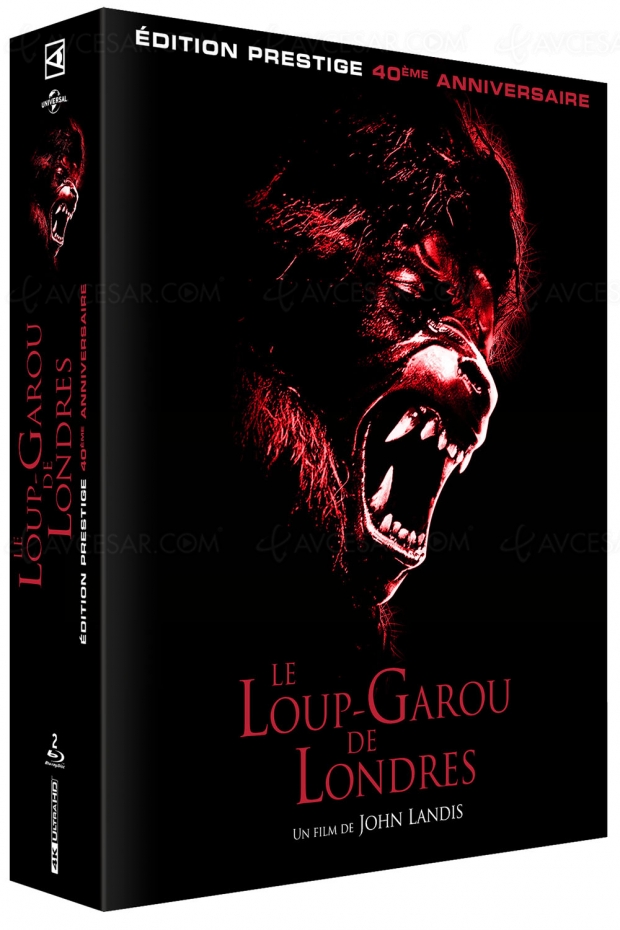 Le loup-garou de Londres : le classique de John Landis en 4K Ultra HD le 24 août