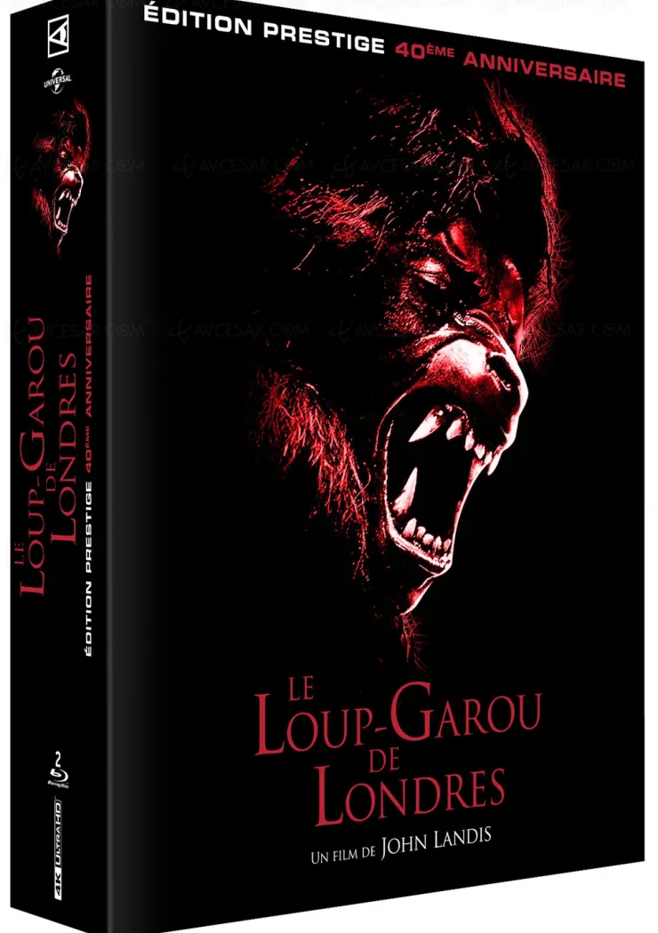 le-loup-garou-de-londres-le-classique-de-john-landis-en-4k-ultra-hd-le-24-aout