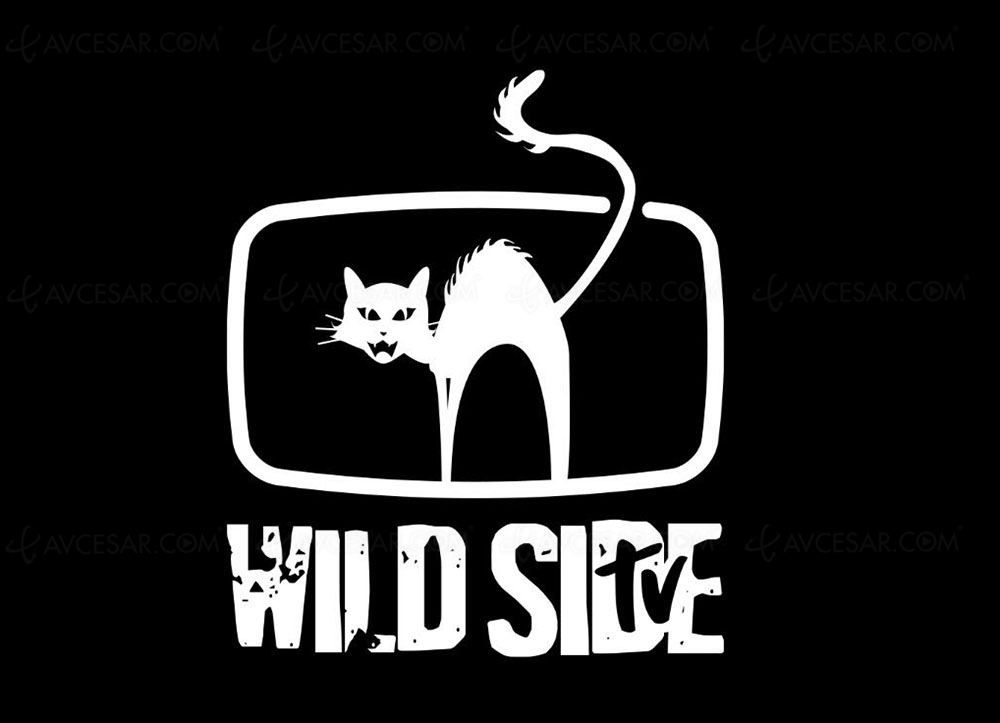 Wild Bunch TV&nbsp;: nouvelle offre de visionnage films et séries gratuite financée par&nbsp;la&nbsp;pub