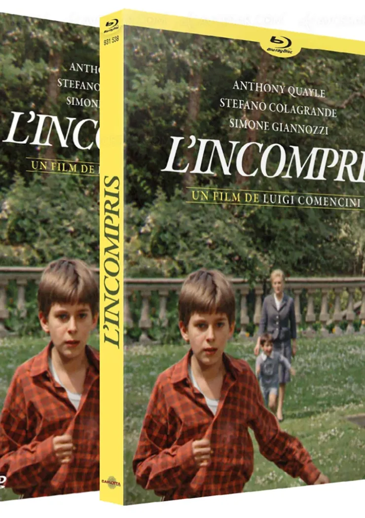 l-incompris-le-chef-d-oeuvre-de-luigi-comencini-chez-carlotta