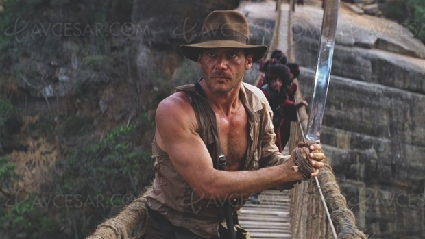 Le couvre-chef d'Indiana Jones a été vendu 300.000 dollars aux