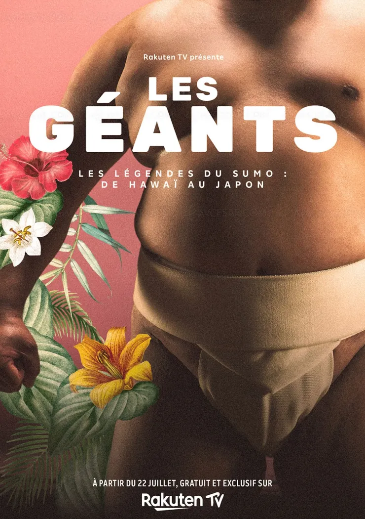 doc-gratuit-les-geants-en-immersion-aupres-de-quatre-champions-de-sumo