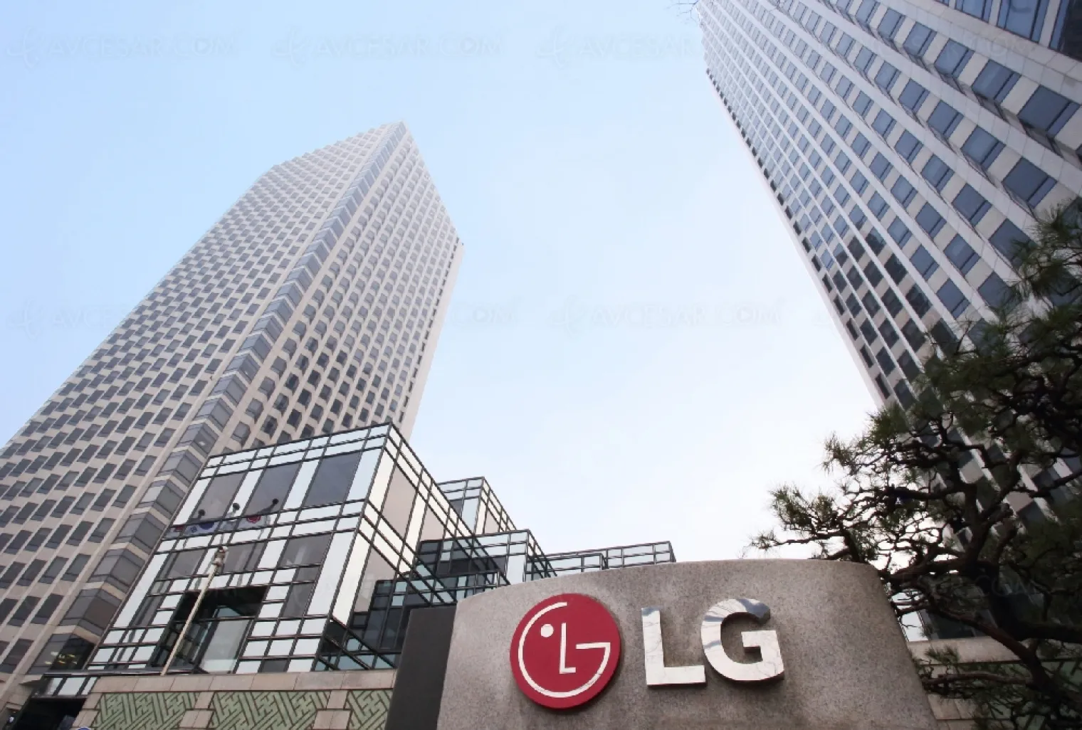 second-trimestre-2021-record-pour-lg-merci-les-tv-oled