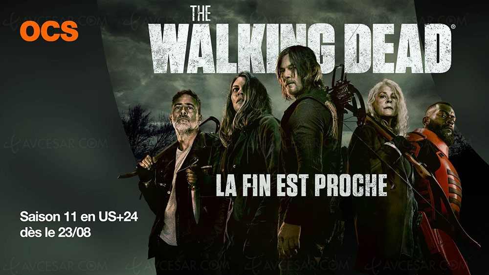 The walking dead shop saison 11 netflix