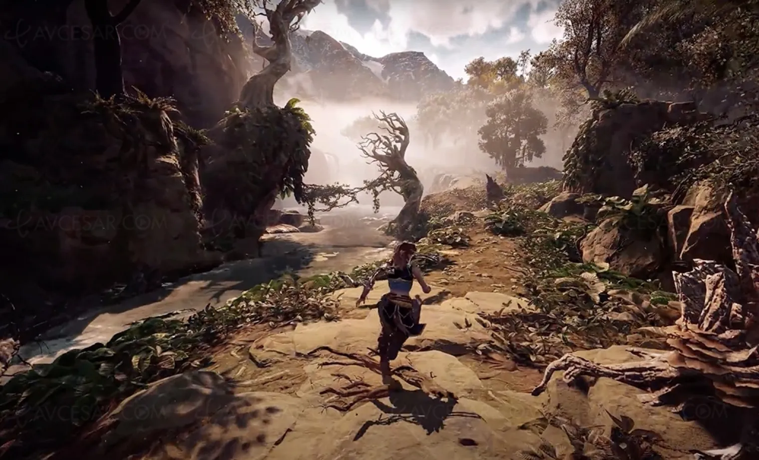 horizon-zero-dawn-8k-a-s-en-decoller-la-retine