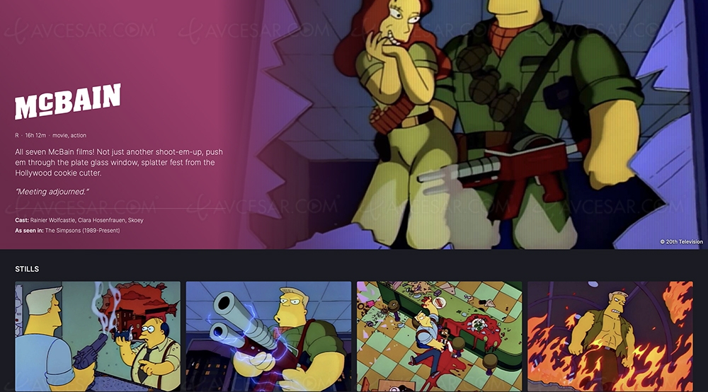 Nestflix, faux Netflix pour&nbsp;faux&nbsp;films