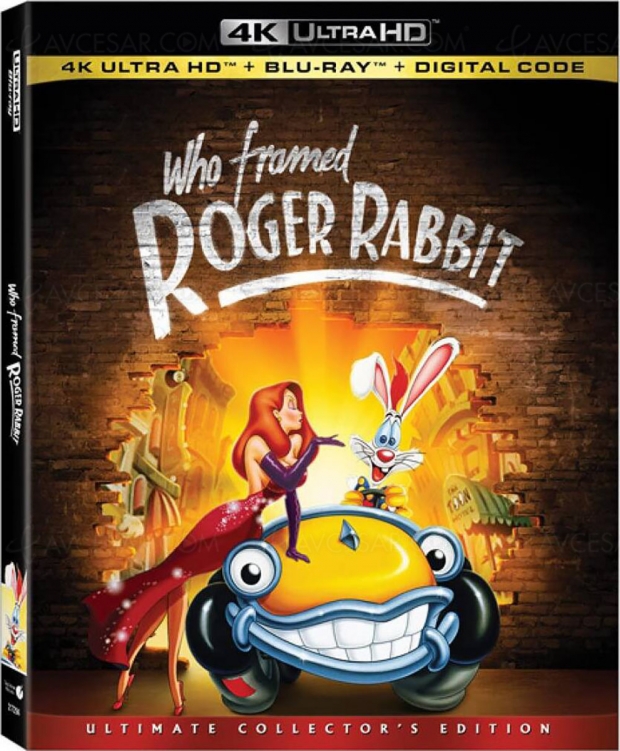 Qui veut la peau de Roger Rabbit en 4K Ultra HD ? Nous !