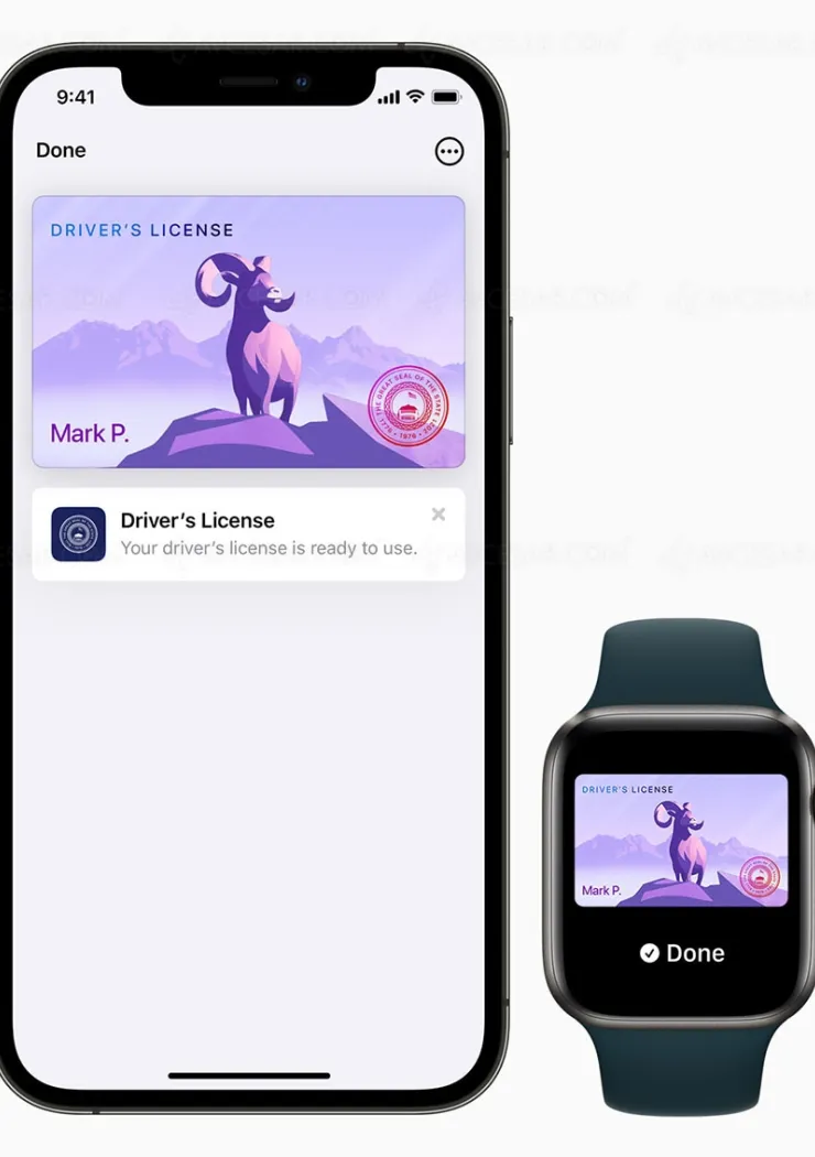 permis-de-conduire-dans-l-iphone-et-l-apple-watch
