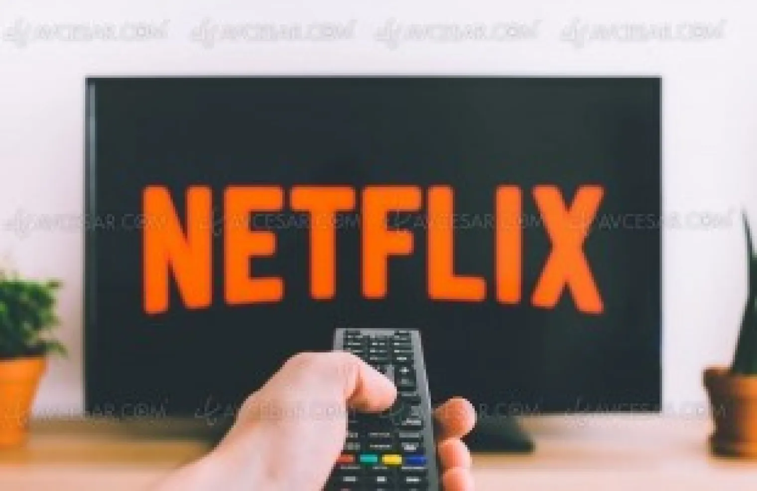 ralentissement-du-marche-streaming-video-en-france