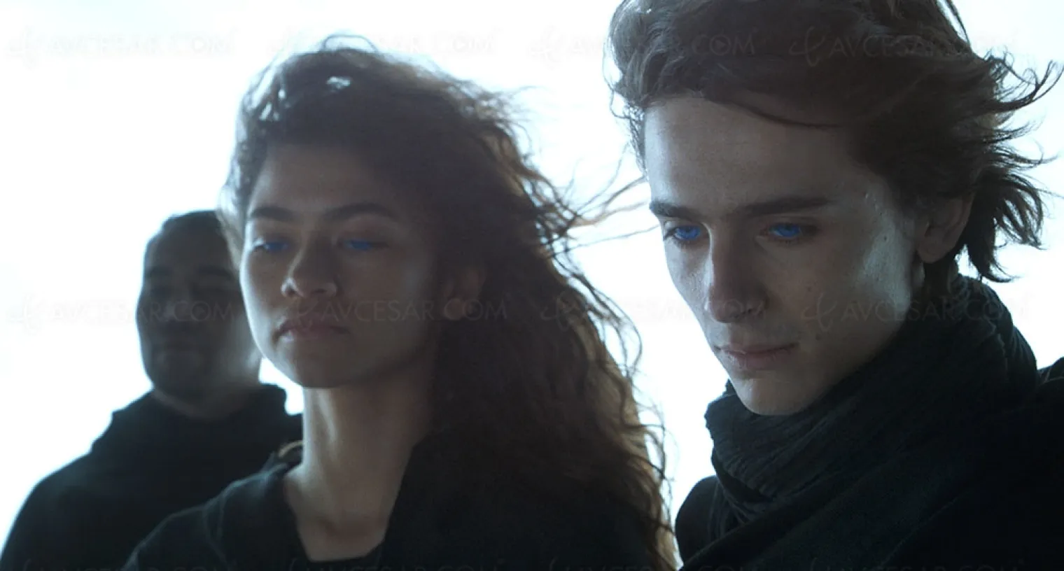 dune-le-spicy-opera-grand-luxe-de-denis-villeneuve