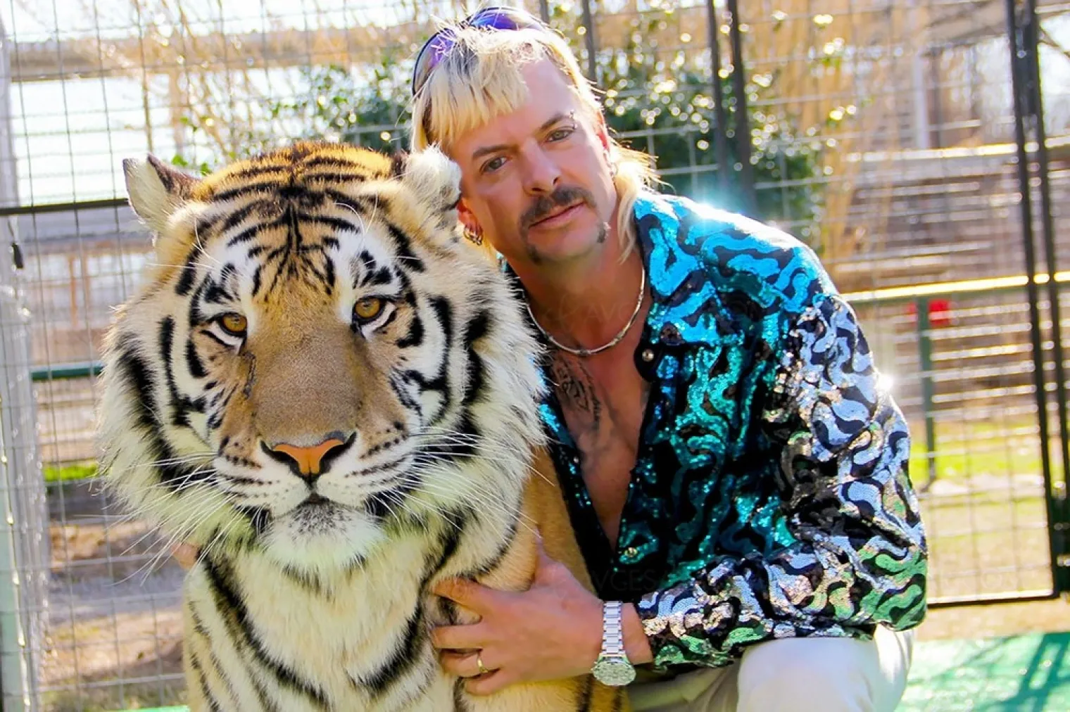 stupefiant-tiger-king-2-sur-netflix-cette-annee