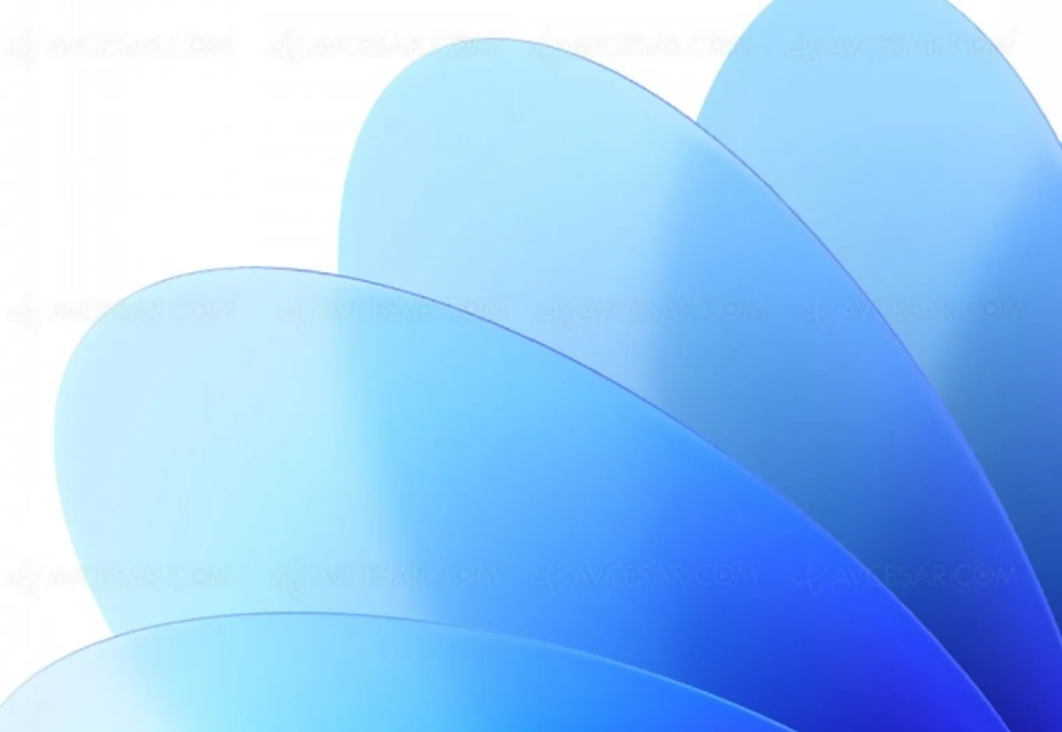 oppo-coloros-12-dans-le-sillon-d-android-12