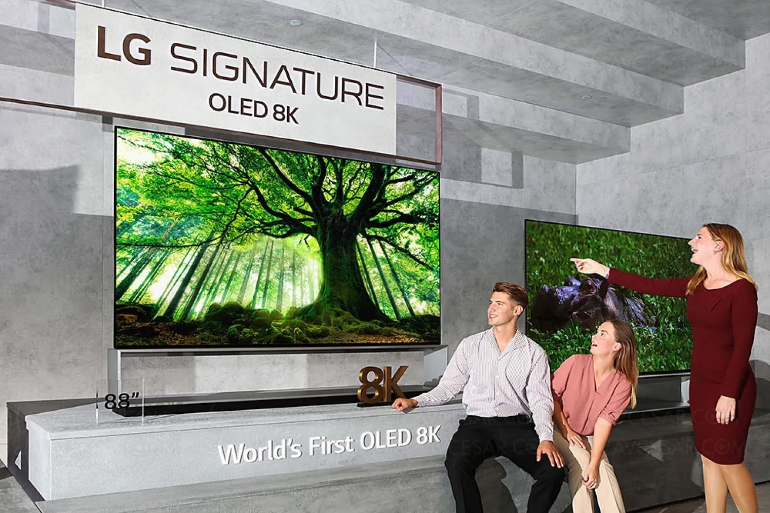 tv-oled-lg-97-246-cm-prevu-en-2022