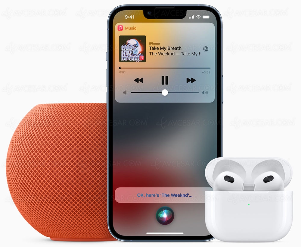 Apple Music Voice, abonnement moins&nbsp;cher&nbsp;mais…