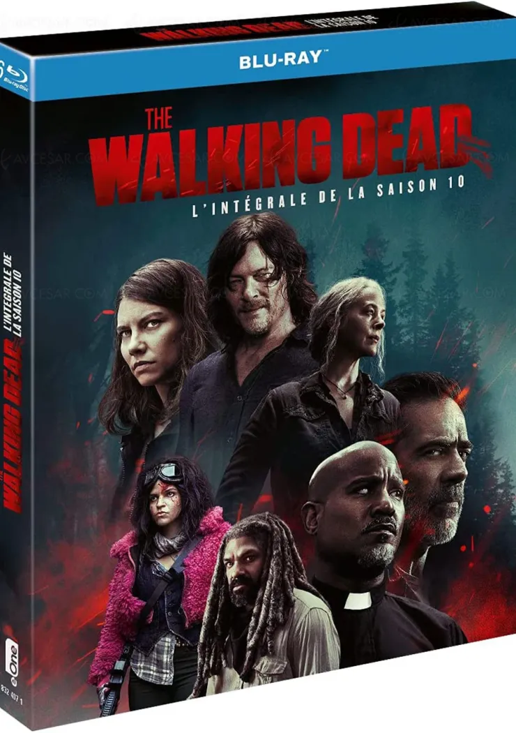 l-avant-derniere-saison-de-the-walking-dead-disponible-en-integrale