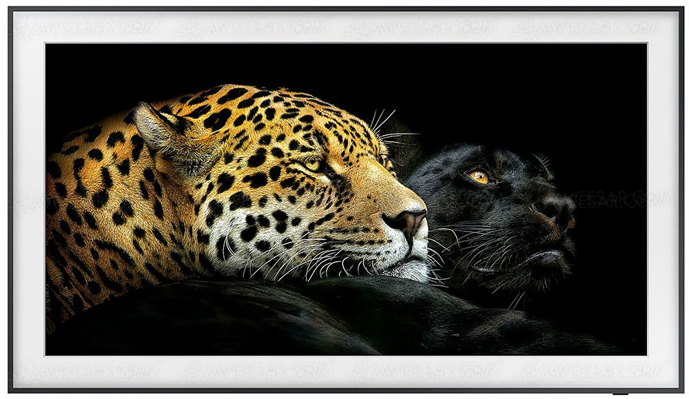 Black Friday 2021 > Samsung&nbsp;QE55LS03A The&nbsp;Frame à&nbsp;890&nbsp;€ soit &#8209;41% ou&nbsp;&#8209;600&nbsp;€ de&nbsp;remise