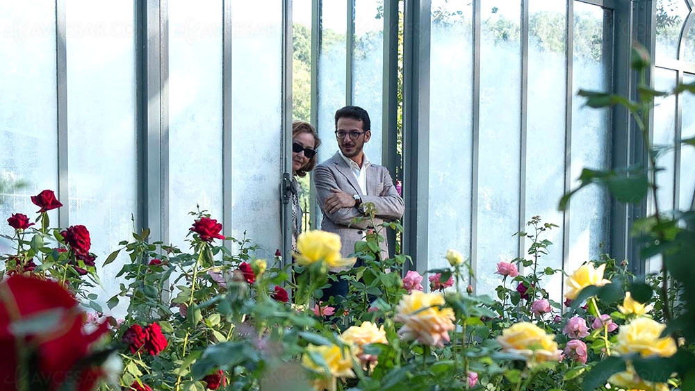 La fine fleur&nbsp;: la comédie sensitive avec Catherine Frot en DVD et&nbsp;Blu-Ray