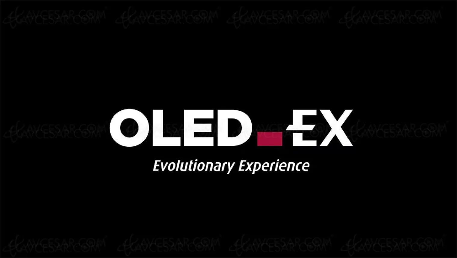 ces-22-panneau-tv-oled-ex-lg-display-la-technologie-demontree-en-video