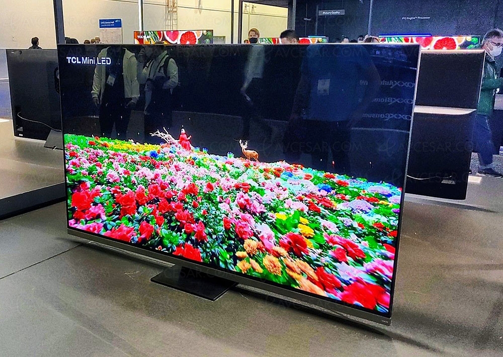 Телевизор Led Tcl 65c835 Купить