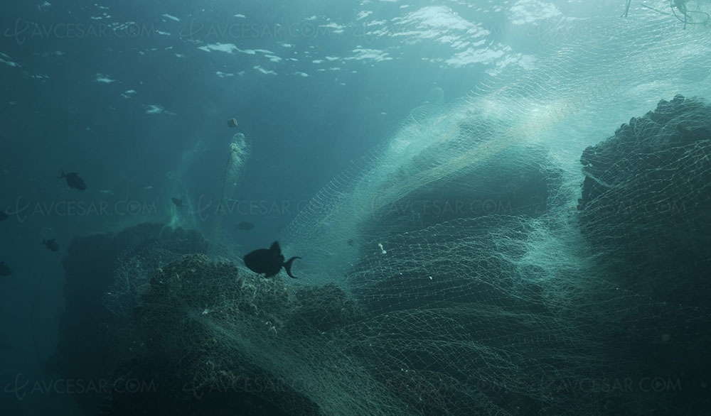 Des filets de pêche dans le&nbsp;Galaxy&nbsp;S22&nbsp;?