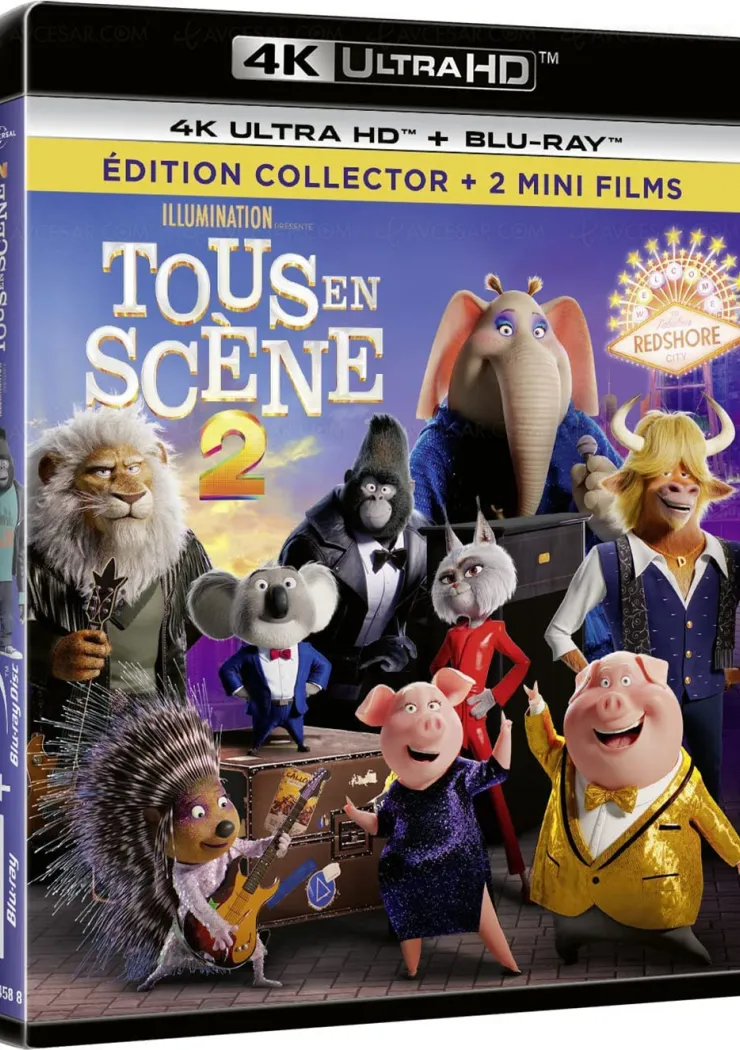 tous-en-scene-2-une-comedie-musicale-pop-et-coloree-en-4k