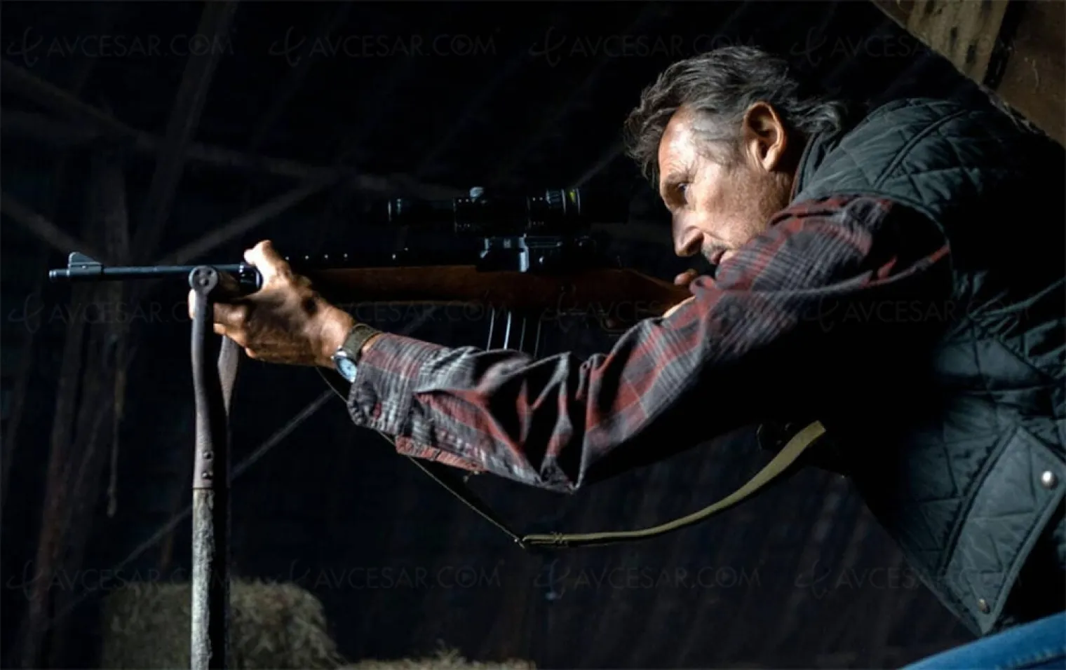 Le vétéran : Papy Neeson fait de la résistance