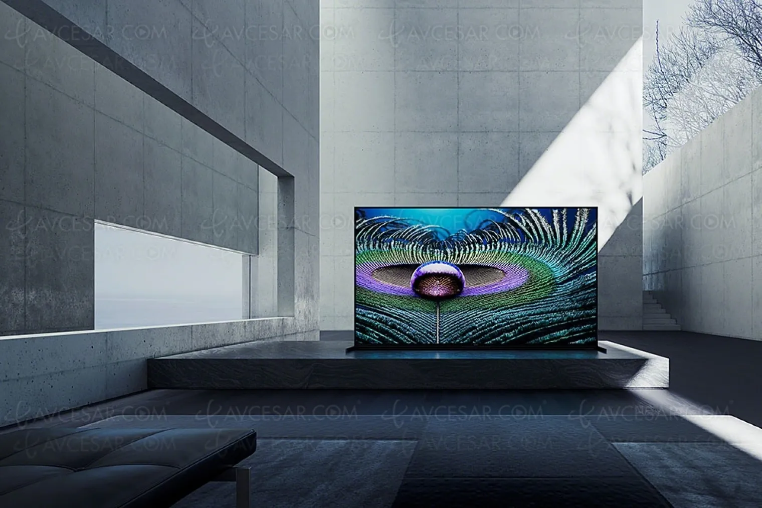 tv-sony-bravia-xr-2021-mise-a-jour-vrr-disponible