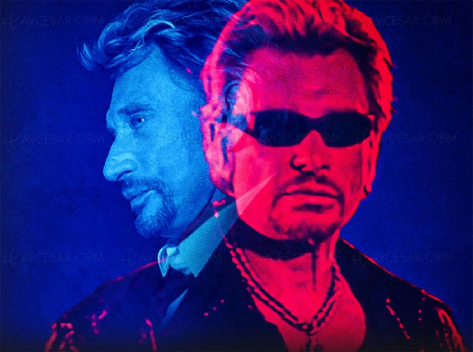 Johnny par Johnny : bande-annonce de la série Netflix