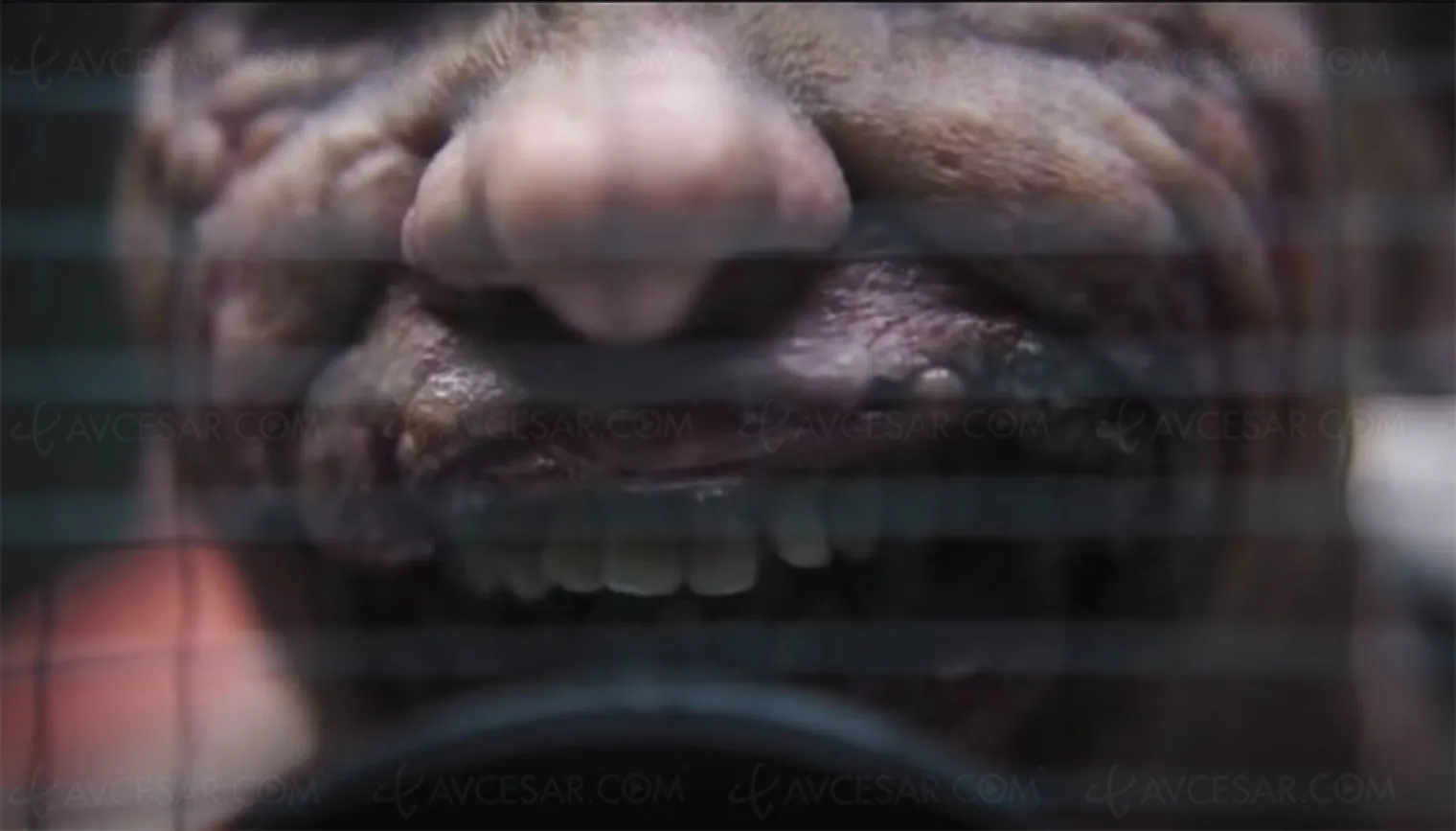 la-scene-coupee-de-the-batman-avec-le-joker-devoilee