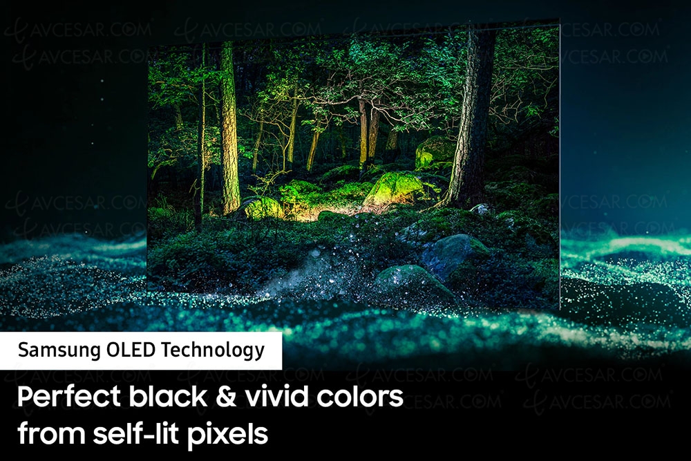 TV Oled 2022&nbsp;: LG et Samsung s'associent&nbsp;!