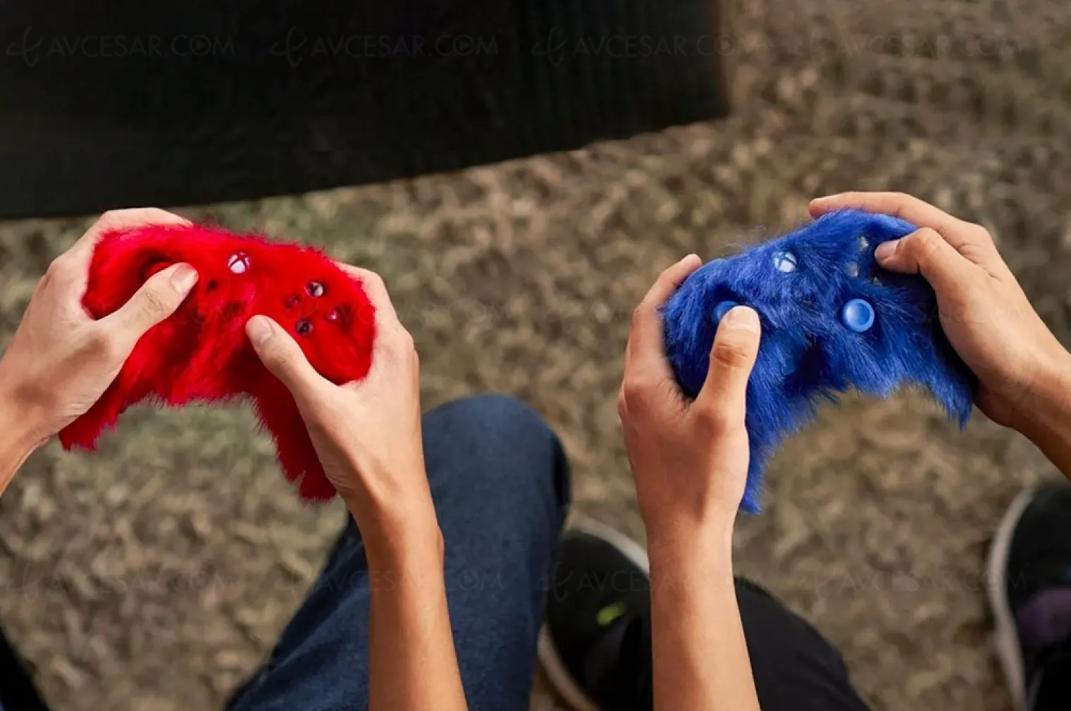 xbox-edition-sonic-avec-de-la-moumoute-sur-les-manettes